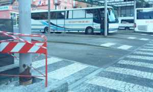 movicentro bus palo