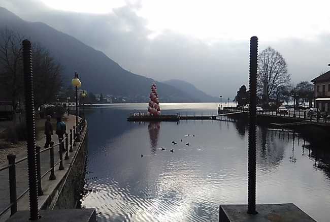 movimento5stelleOmegna700