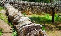 muro