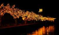 natale lago maggiore