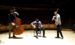 nefes trio