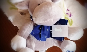 nestle baci regalo anzasca