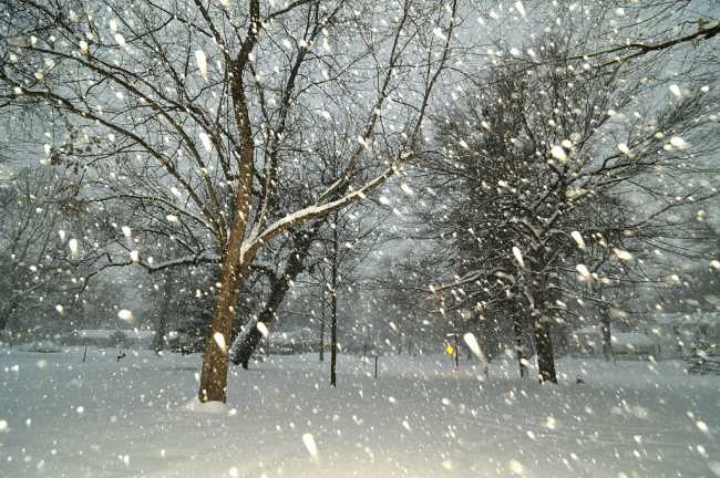 neve