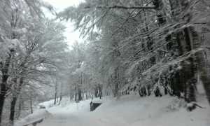 neve piancavallo 2016