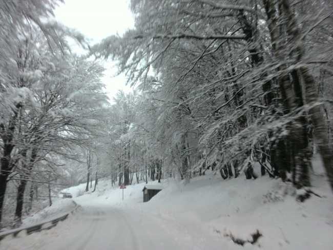 neve piancavallo 2016