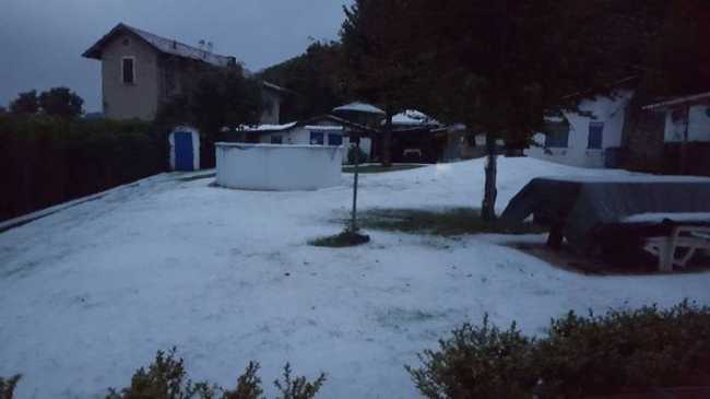 neve pollino