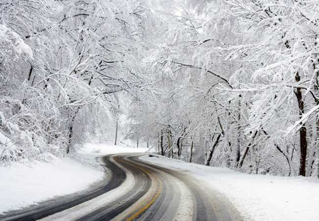 neve strada bosco