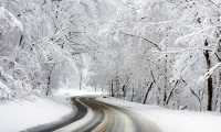 neve strada bosco