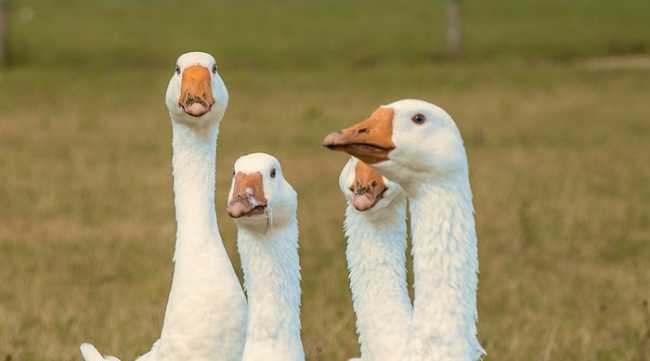 nick fewings xORZNVE6DY0 unsplash