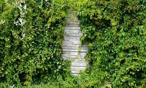 noise barrier ged5f308ff 640