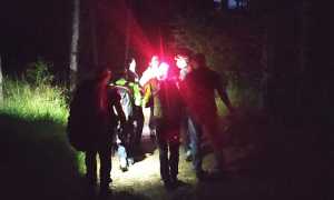 notte bosco luci spalle