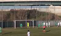 novaromentin gozzano 25