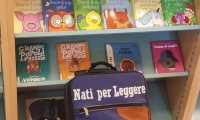 npl1