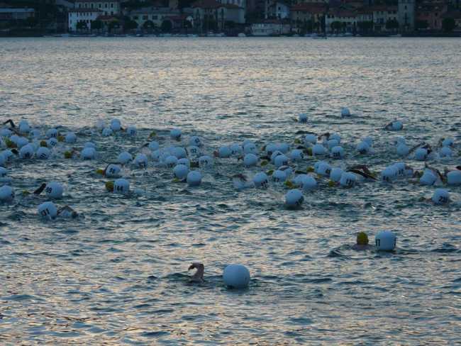 nuotata stelle orta