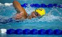 nuoto generica