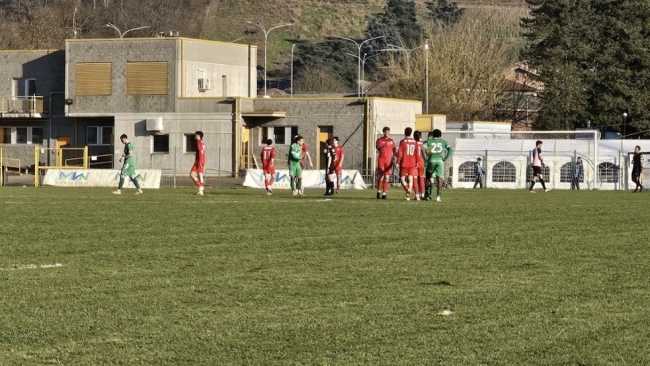 oltrepo gozzano