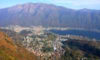 omegna generico