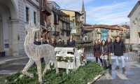 omegna natale