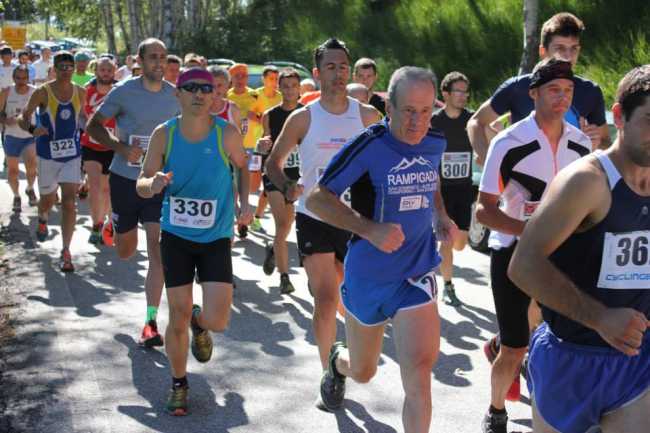 ompio mini trail 2015