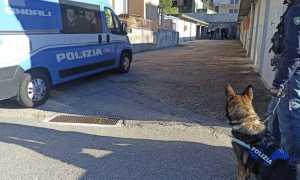 operazione sparta 2 copia