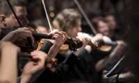 orchestra