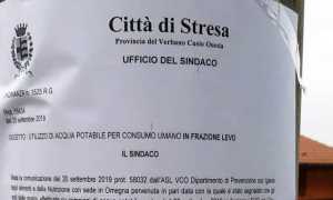 ordin stresa