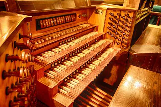 organo chiesa