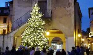 orta natale