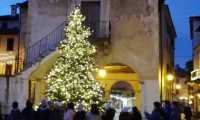orta natale