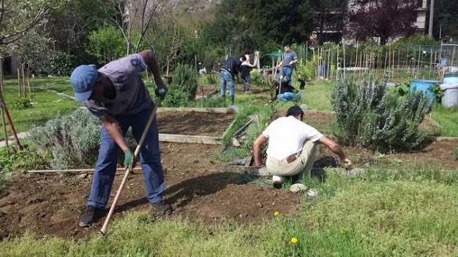 orti oasidellavita700