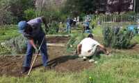 orti oasidellavita700