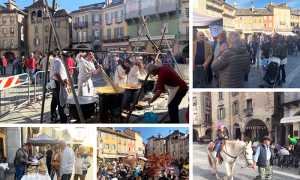 oscella felix autunno 19 mix