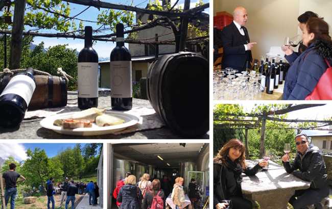 ossola cantina 19 mix