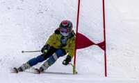 paletti gara sci slalom palo