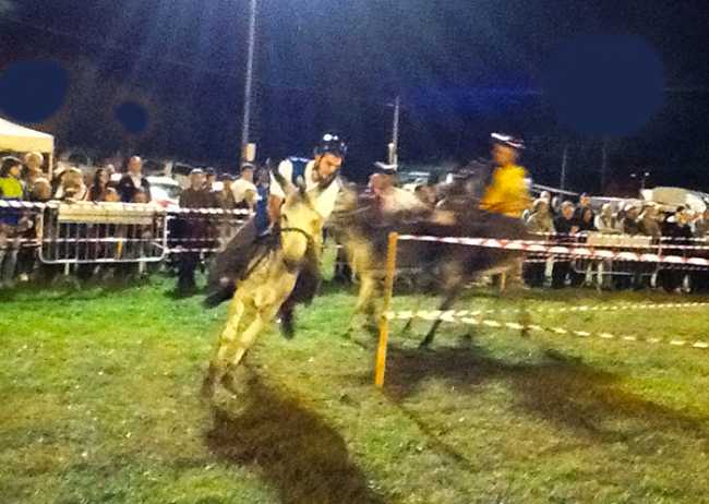 palio asini masera