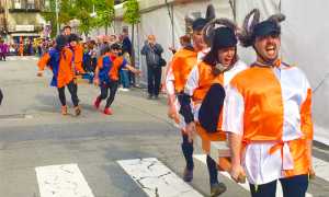 palio asini vincitori