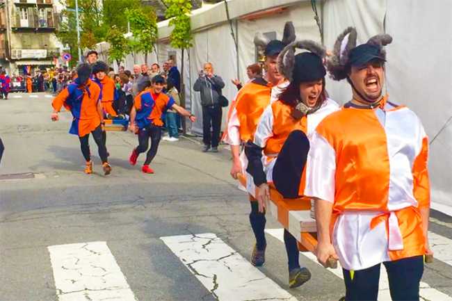 palio asini vincitori