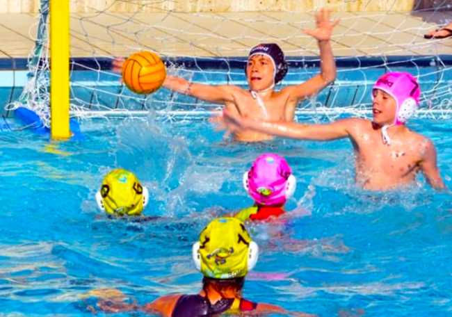 pallanuoto