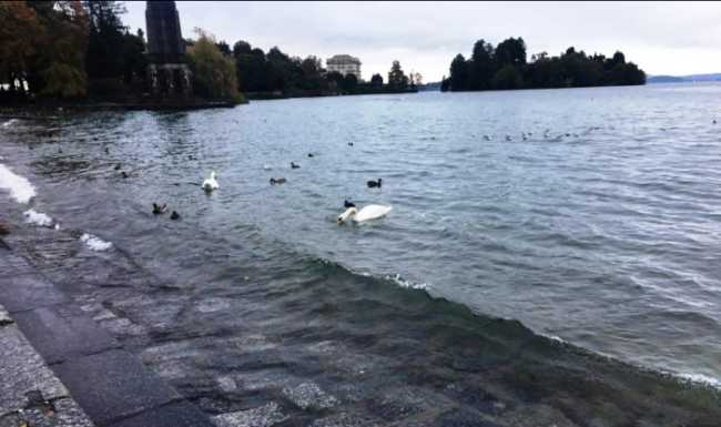 pallanza l lago