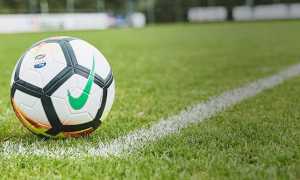 pallone