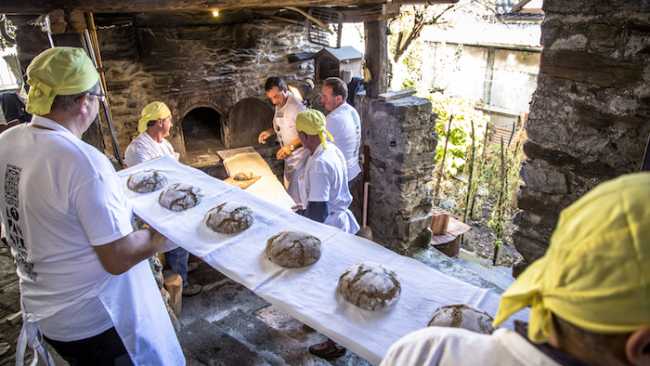 pane nero