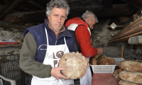 pane nero forno macugnaga