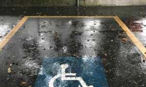 park disabili