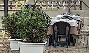 parkdisabile