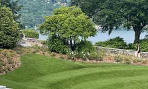 particolare anfiteatro