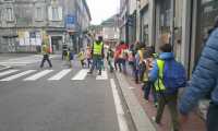pedibus700