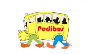 pedibus