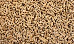 pellet