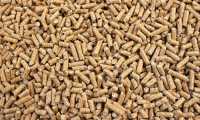 pellet