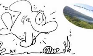 pettenasco mostra fumetto luglio